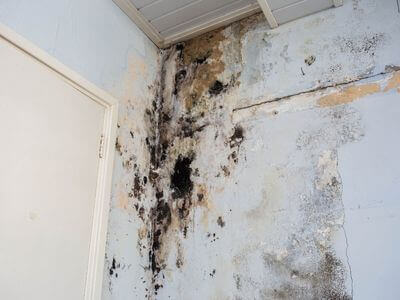 About StreamEase Team - water damage restoration experts in Montclair